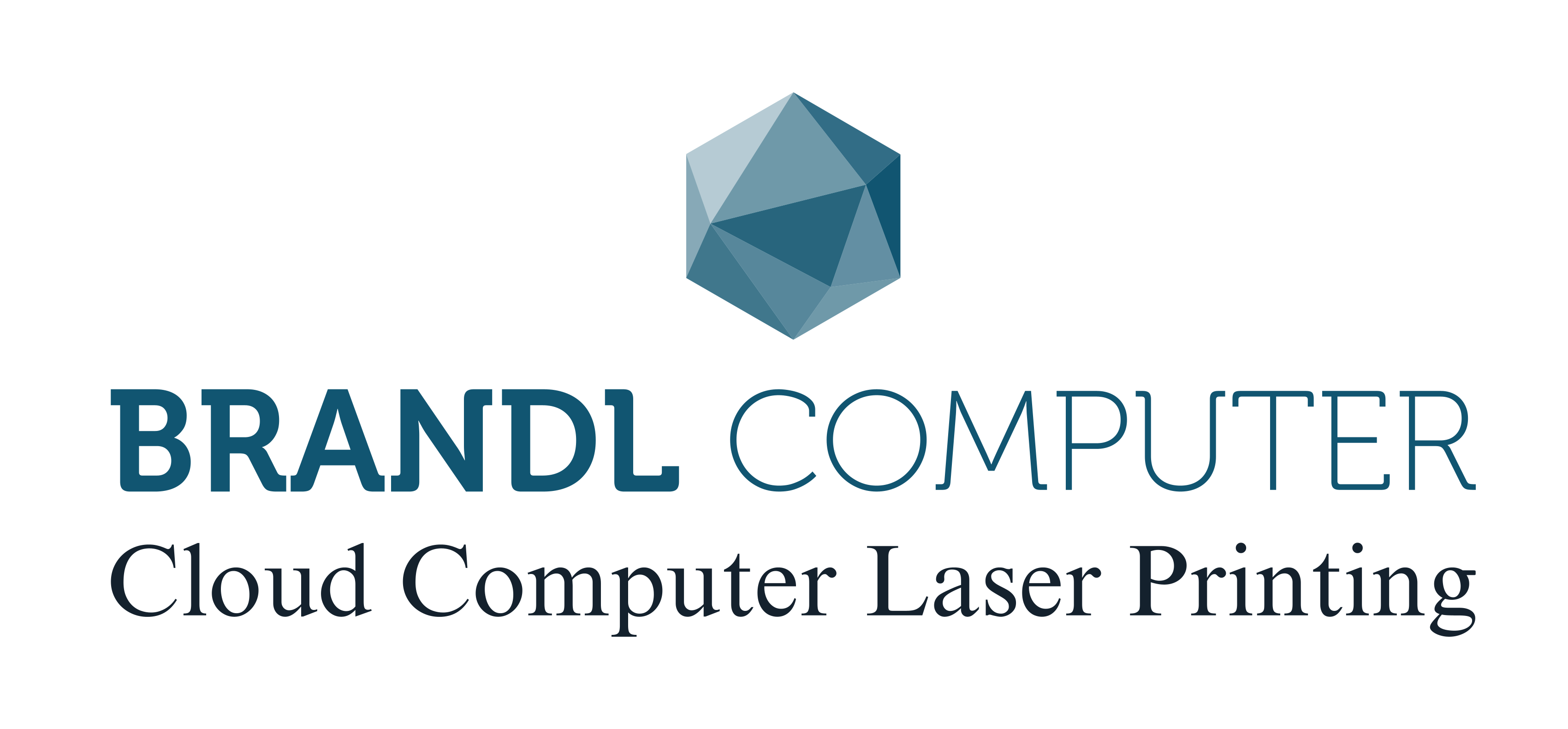 BrandlComputer Logo